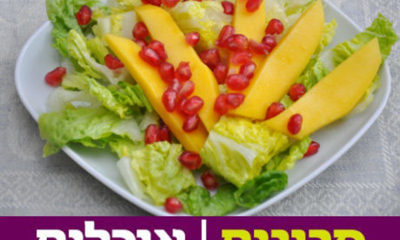 מרענן: מתכון לסלט חסה עם מנגו וחמוציות