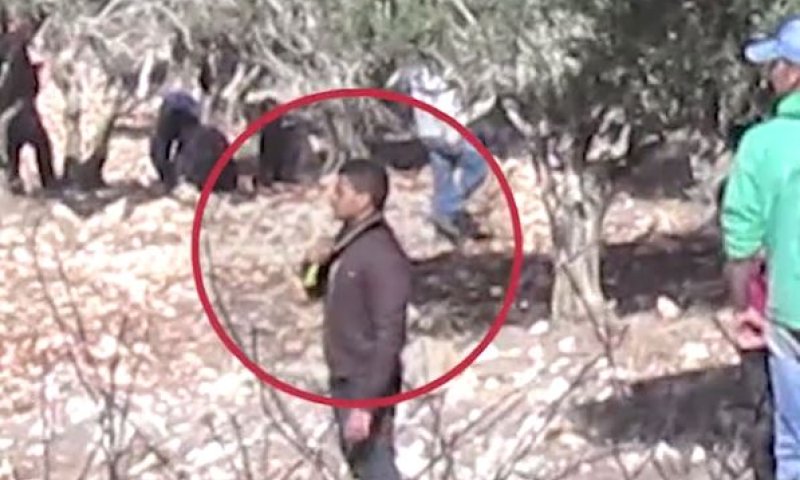 בחסות המסיק: ערבים מסמנים שחיטה; "יהיה כאן רצח כמו של משפחת פוגל"