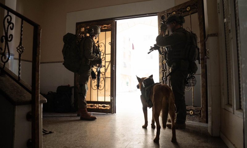 צפו: השייטת והקומנדו השתלטו על המגדלים בעזה