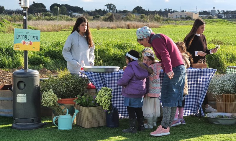 צפו: הקהילה התוססת שמתגבשת בלב הארץ