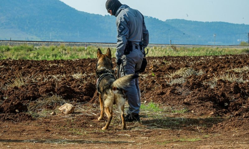 מהמקום הכי יפה בגלבוע הפכנו לעוטף ג'נין