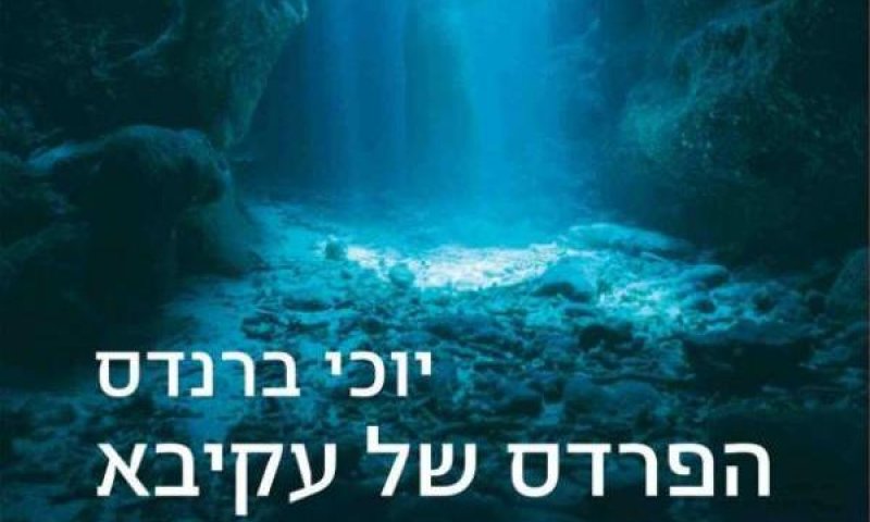 היסטוריה משוכתבת על פי יוכי ברנדס