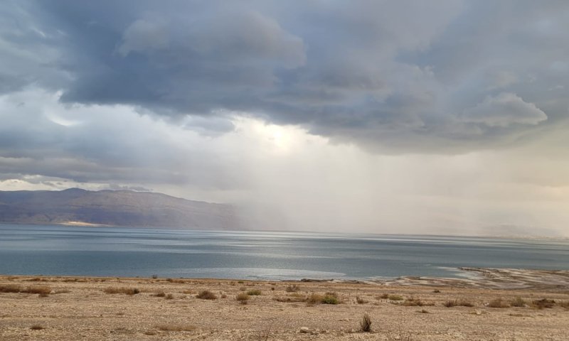 כמה חיכינו, ואיזה יופי זה: תמונות של חורף בישראל