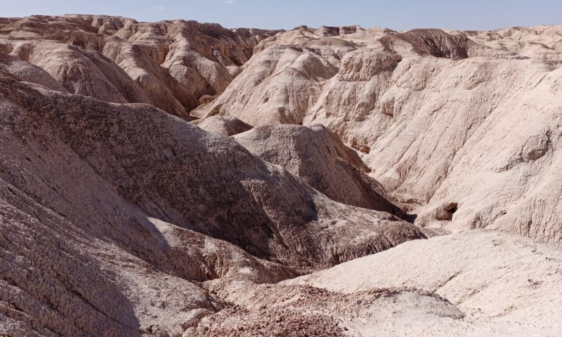 שלד אדם נמצא במערה במדבר יהודה