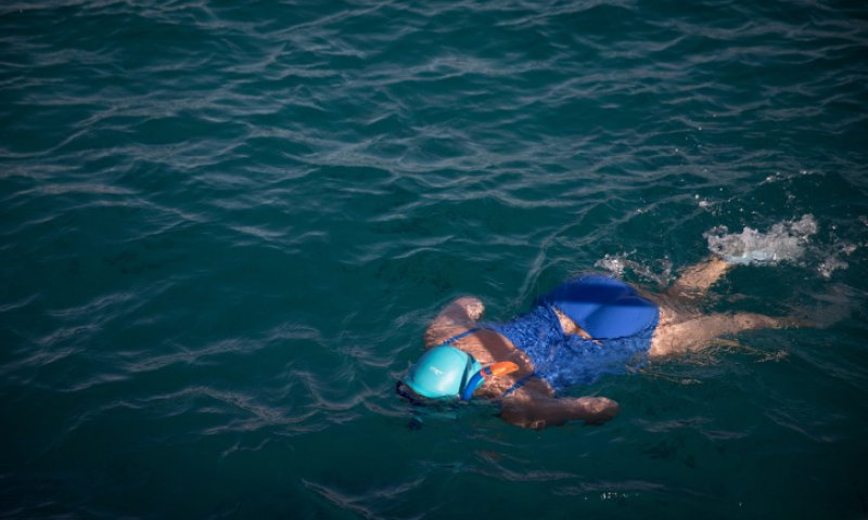 זהירות: כריש תקף אישה למוות בחופי סיני