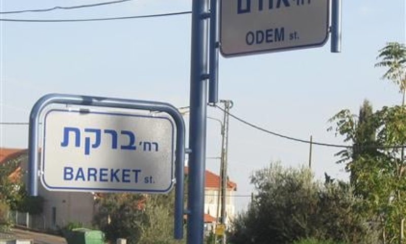 אחרי עשרים וחמש שנה גם בצפת יש שמות לרחובות