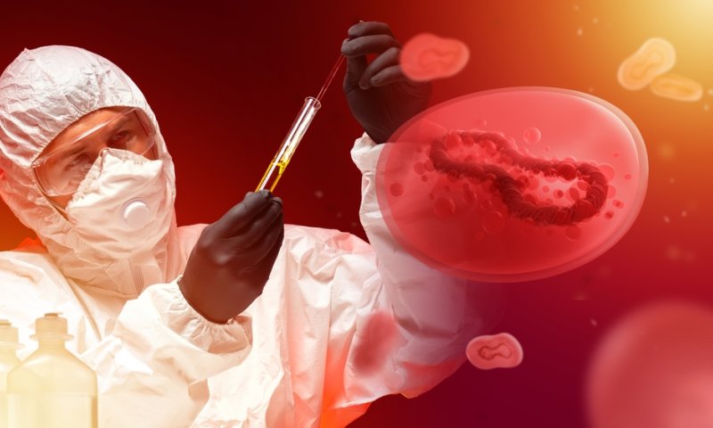 משרד הבריאות: אלו הזכאים לחיסון נגד אבעבועות הקוף