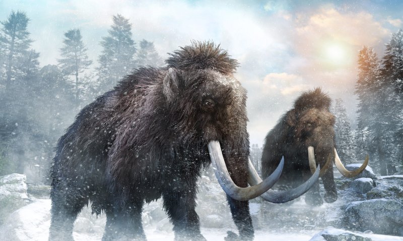 מדענים יקימו לתחייה ממותות?