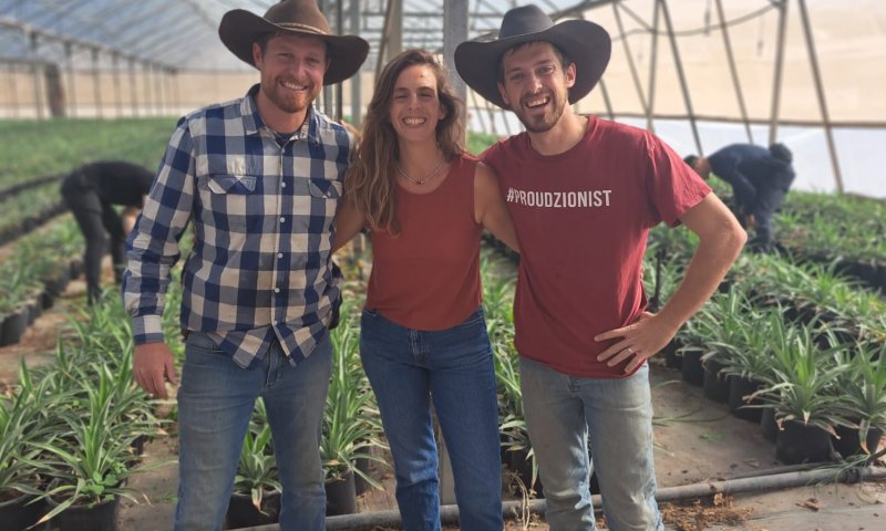 הקאובויז האמריקאים הגיעו לבקעת הירדן