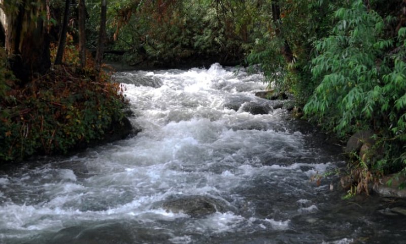 אזהרה למטיילים: זיהום חריג התגלה ב-12 נחלים בצפון
