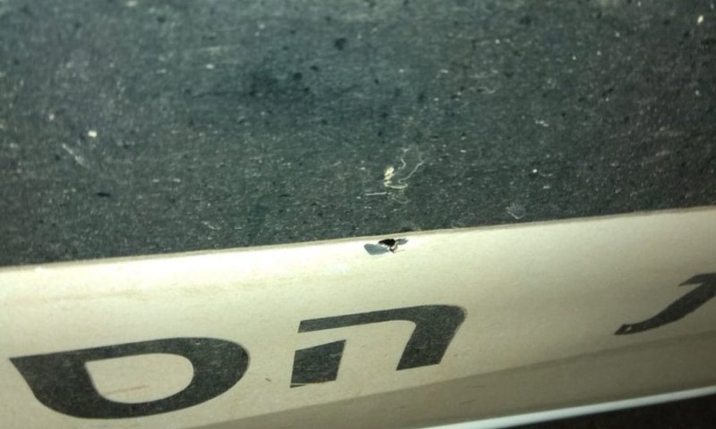 פיגוע ירי בכניסה לרחלים: אין נפגעים, נגרם נזק