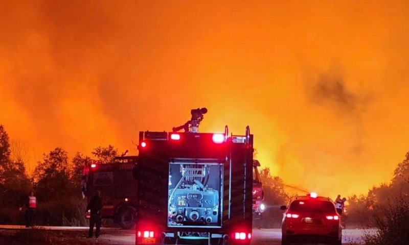 עשרות דונמים של תמרים נשרפו סמוך לקיבוץ דליה