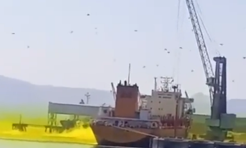 אירוע חריג בירדן: 10 הרוגים ומאות פצועים בדליפת גז רעיל