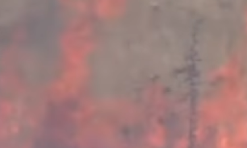 חייל בחופשה תועד מצית שדות פלסטינים והושעה