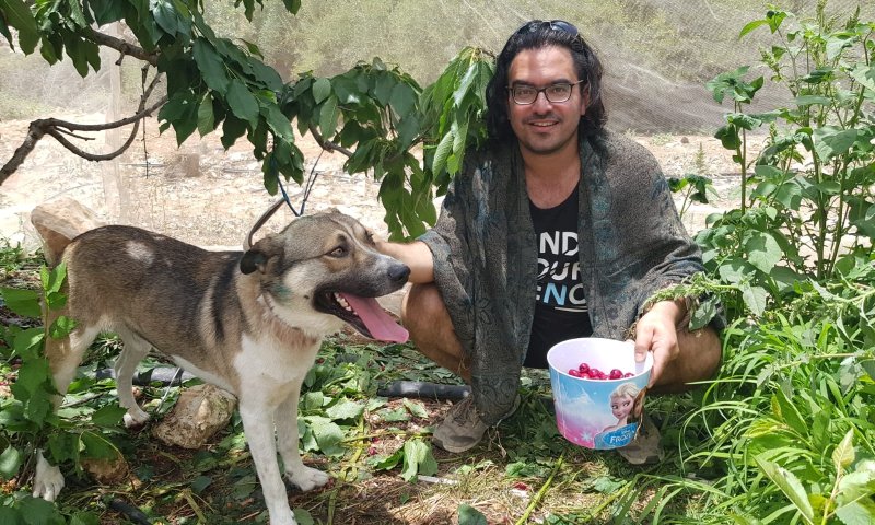 הפסטיבל שהצליח למשוך אלפי מבקרים אל גוש עציון