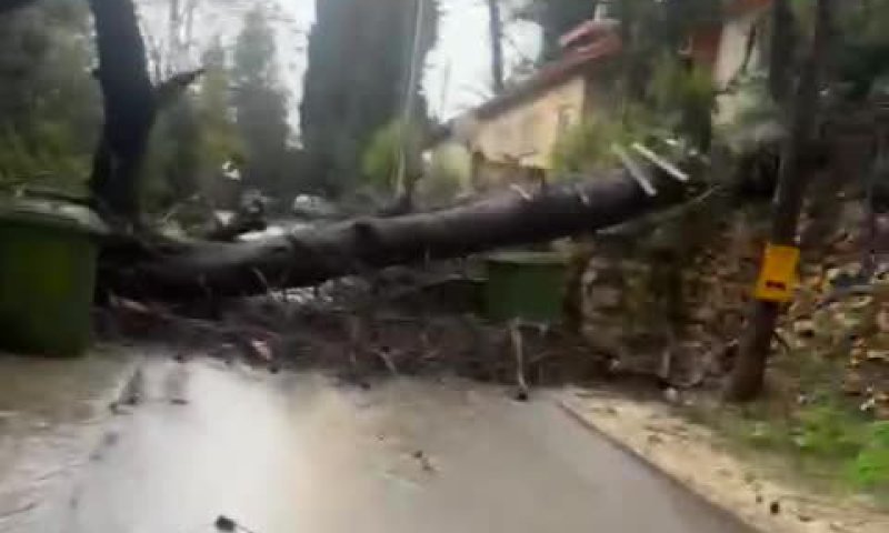 בעקבות רוחות סוערות: קו חשמל נקע בבית זית | תיעוד