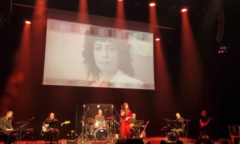 מסע מוזיקלי בין התיכון: הזמר האהוב חוזר לארץ עם מופע חדש