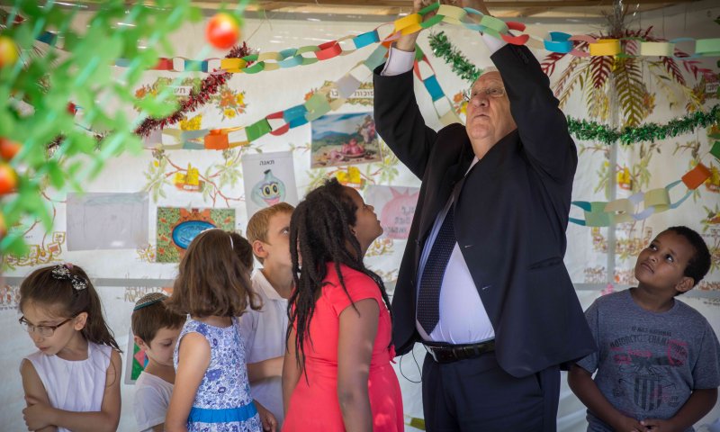 אל תפספסו: 7 רעיונות מרהיבים לקישוט הסוכה