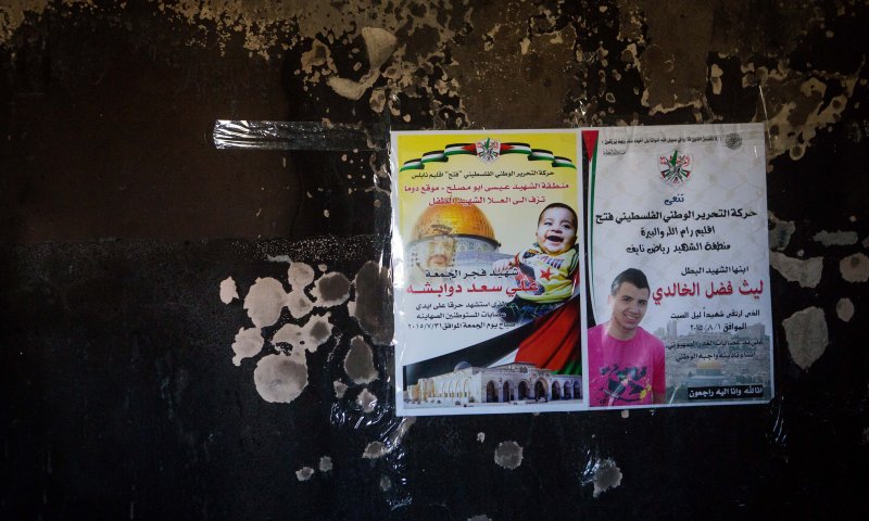 פולי מרדכי: ישראל תשלם על הטיפול בדוואבשה