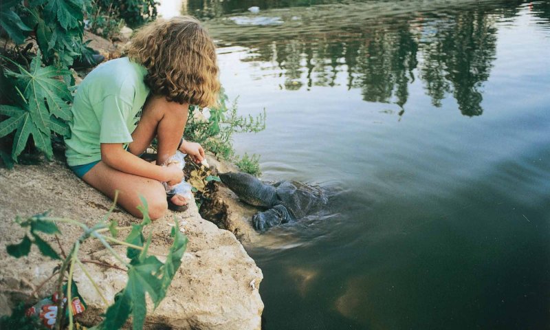 סוכות תשע"ו: מדריך הטיולים והאטרקציות לציבור הדתי