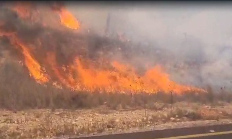 שריפה פרצה בחורפיש; 8 פצועים במצב קל
