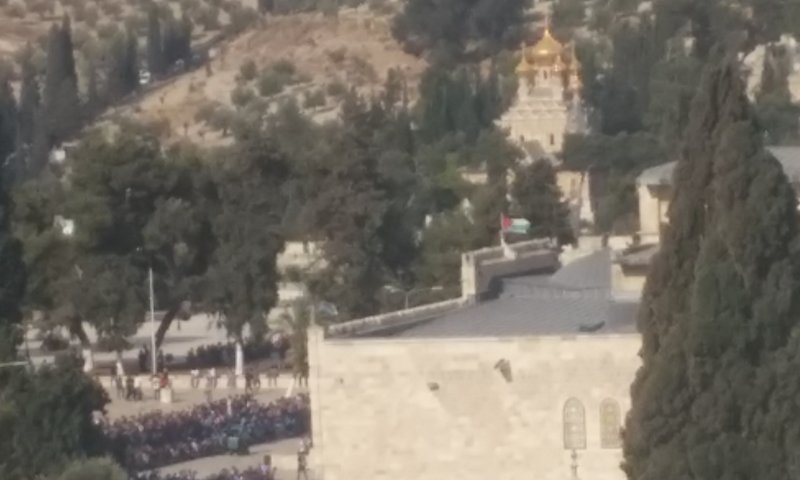 צפו: שוטרים מסירים את דגל פלסטין מהר הבית