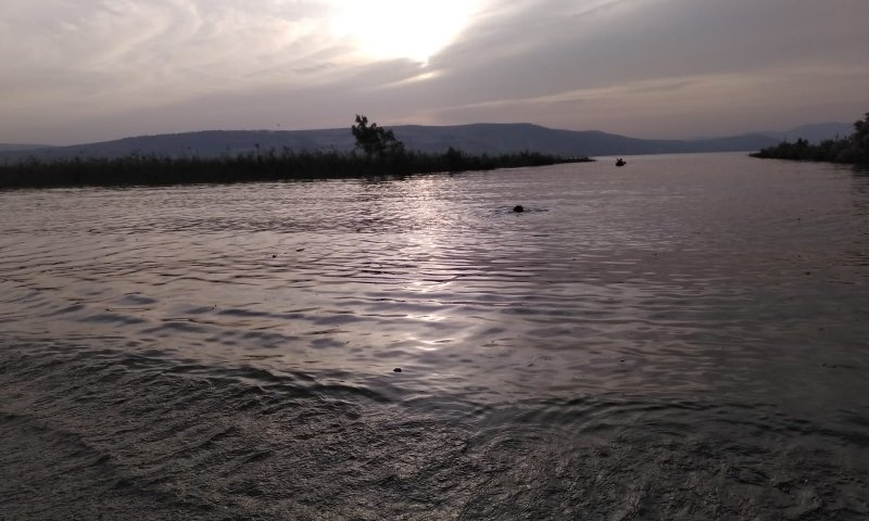 בשל חריגות בבדיקות: חופים בכנרת נסגרו לרחצה