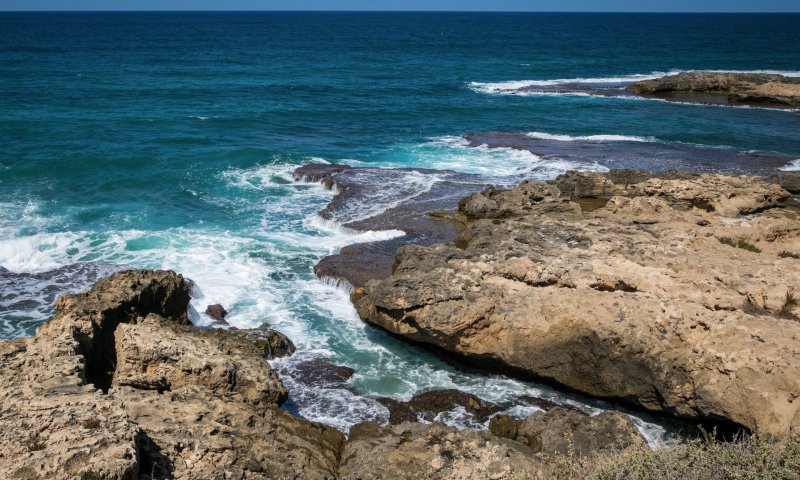 משרד הבריאות מזהיר: הרחצה בחוף בהרצליה נאסרה