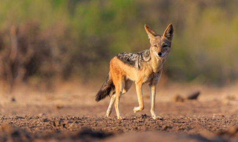 משרד הבריאות מזהיר: "מי שבא במגע &ndash; לפנות בדחיפות לבדיקה"
