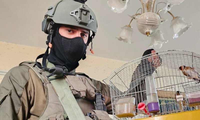 במהלך פעילות בשכם: צה"ל שחרר ציפורים מוגנות