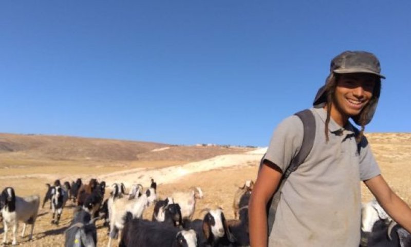 3 ימים בלבד לאחר מעצרו: שוחרר הפורע שתקף באכזריות רועה צאן