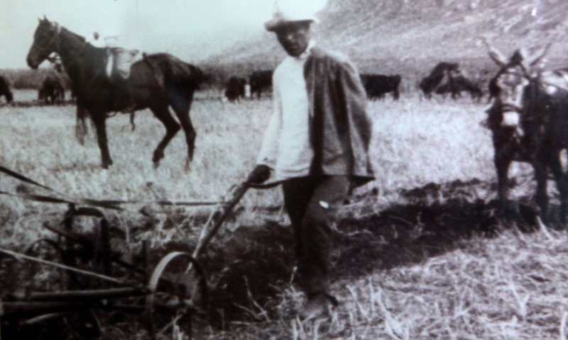 האם יוסף טרומפלדור גדל במשפחה דתית או חילונית?