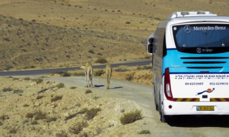 משרד החינוך פועל לפתירת בעיית הטרמפים ביו"ש