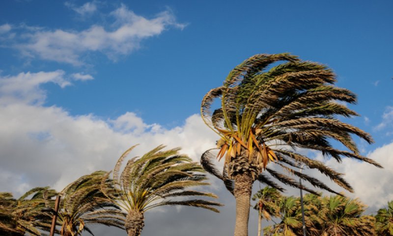 אובך וסופות חול; בסופ"ש &ndash; מהפך: תחזית מזג אוויר