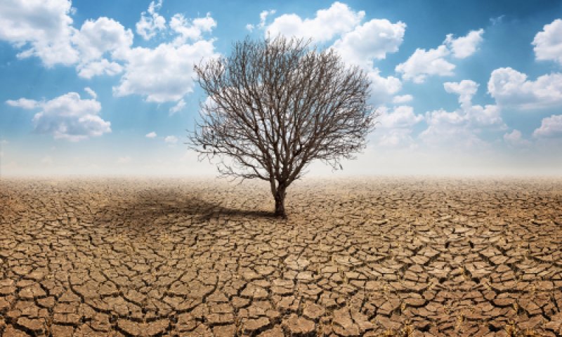 הבצורת- מסר שהקב"ה מנסה להעביר לנו