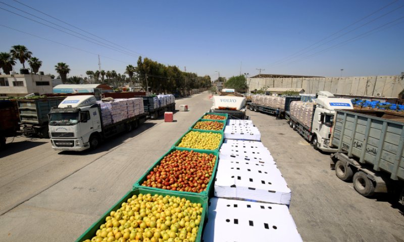 חומרי גלם וטקסטיל: לאור השקט, שורת הקלות לעזה