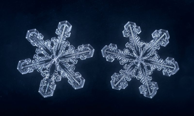 המסתורין של המים: האם מילים באמת יכולות לרפא?