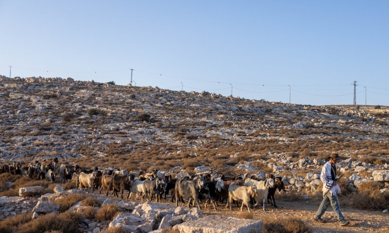 כוחות בדרכם להרס בגבעת צור הראל . צפו