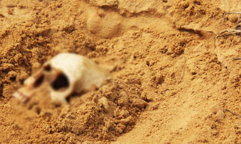 פריצת דרך: שלד עתיק יסייע בחקר הסרטן