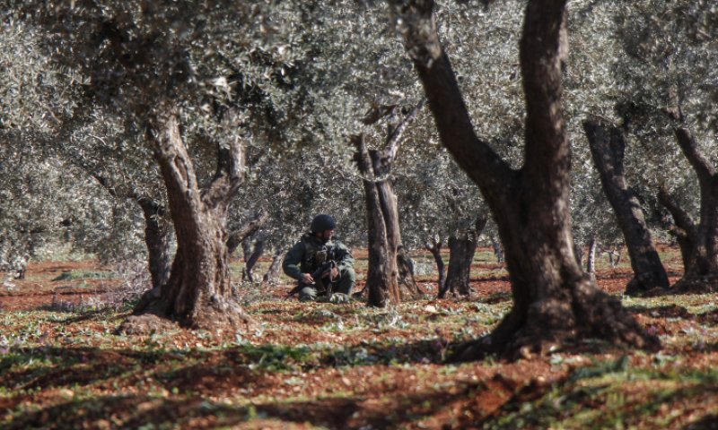 לוחמי צה"ל ששהו במארב סיכלו פיגוע במרחב אפרים