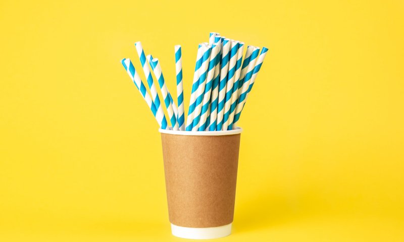 יום קשית השתייה הבינלאומי: עובדות שלא ידעתם