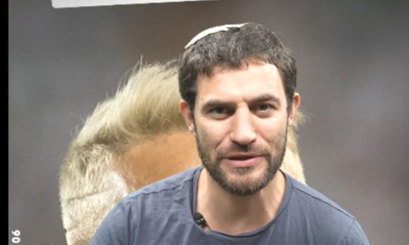 אצילי חותם, גפן מחלקת ירושה: קצר בתקשורת #17