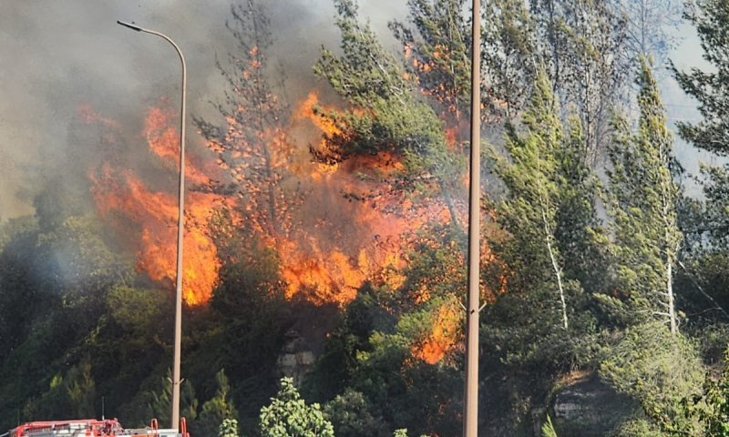 שריפה משתוללת בשער הגיא: שיבושי תנועה נרשמו באזור