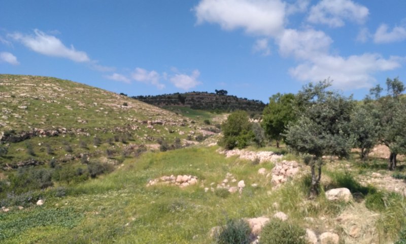 צאו לטייל: פסטיבל טיולי פסח ישראלי עם "אשכולות"