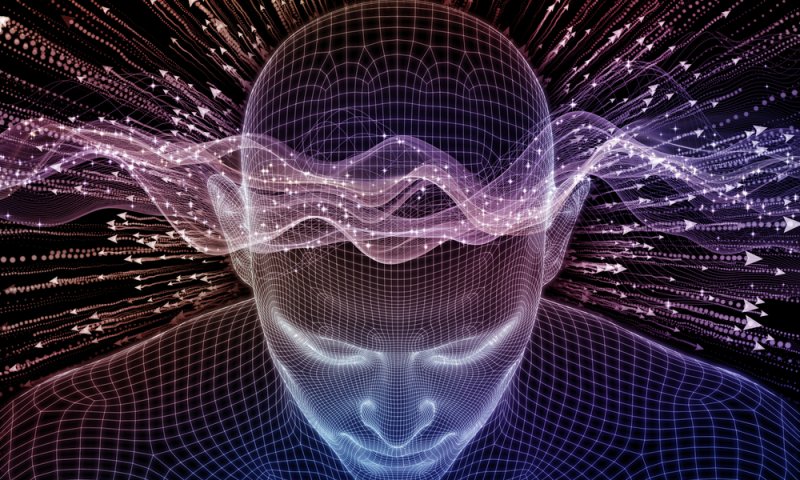 תודעה בלי מוח? המדע מתחיל לשאול את השאלה האסורה