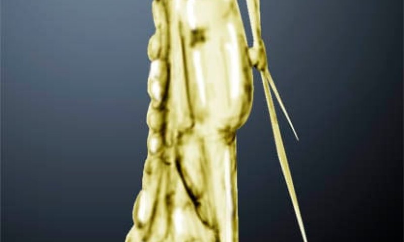 הקריקטורה היומית של אור רייכרט: לזכר הנופלים