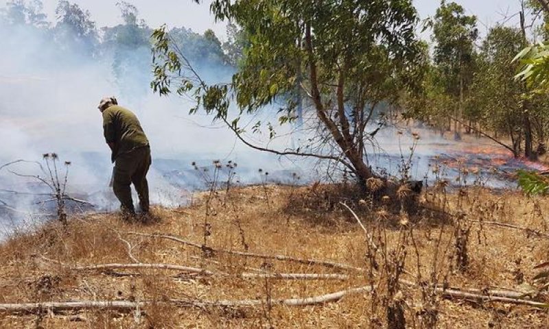 ספר ממולכד, בלוני תבערה והצתות: טרור בעוטף עזה