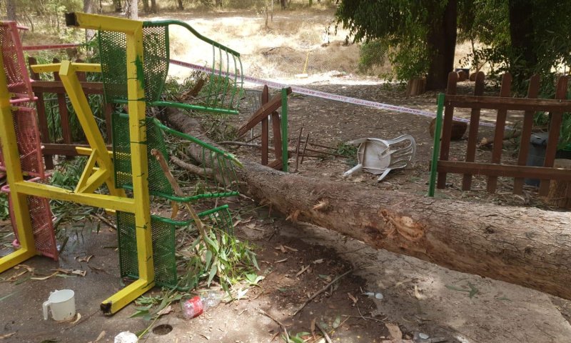אסון בפארק בלכיש: עץ קרס על ילד בן 10 שנהרג