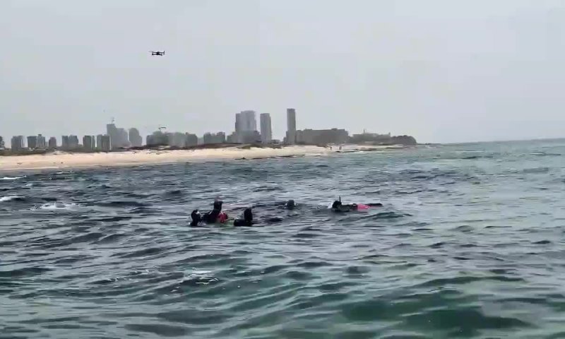 הצוללן שהותקף על ידי כריש: נמצאו שרידים באזור החיפושים