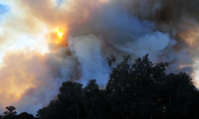 השריפה בכרמל נבלמה, אבל ייקח זמן עד לכיבויה